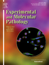 EXPERIMENTAL AND MOLECULAR PATHOLOGY雜志封面
